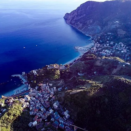 アフィッタカーメレ ダ フロー